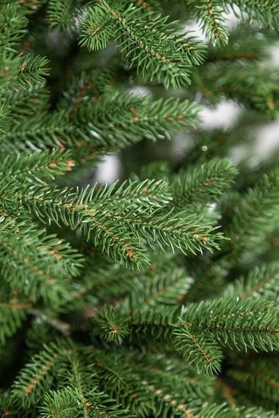 Ялинка лита "Альпійська" Зелена 2,10м 92 фото